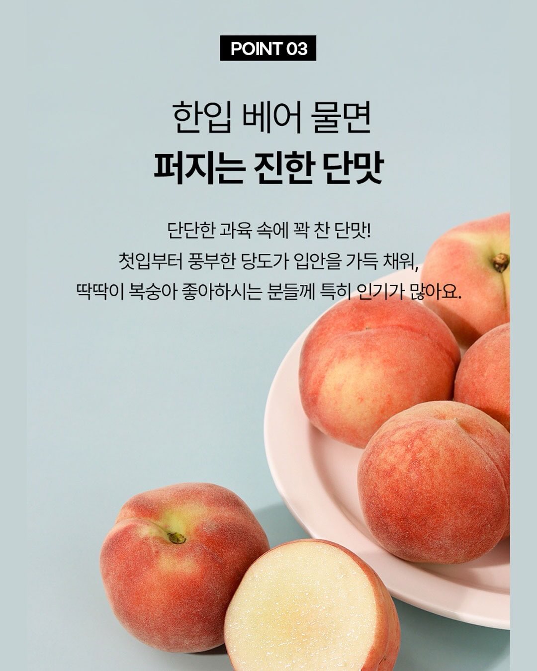 모리나가 베이크 소금 쿠키 쇼콜라 8
