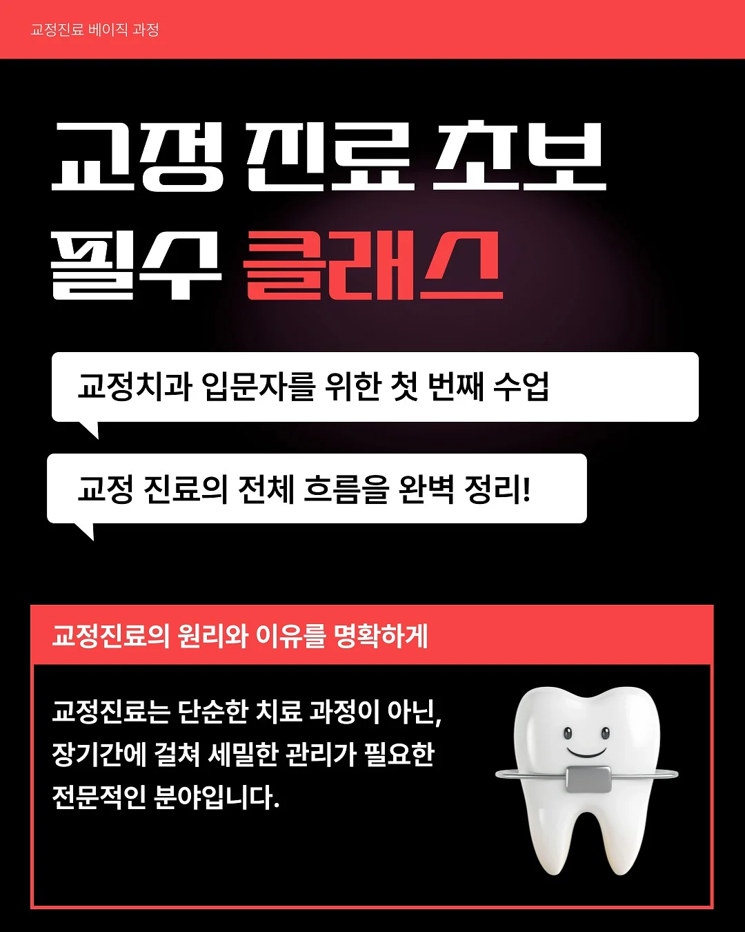 닥터파베 경추베개 4