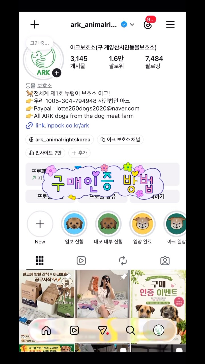 토마토 살사