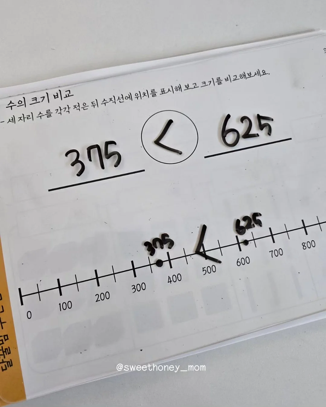 제주산 갈치 초콜릿 10