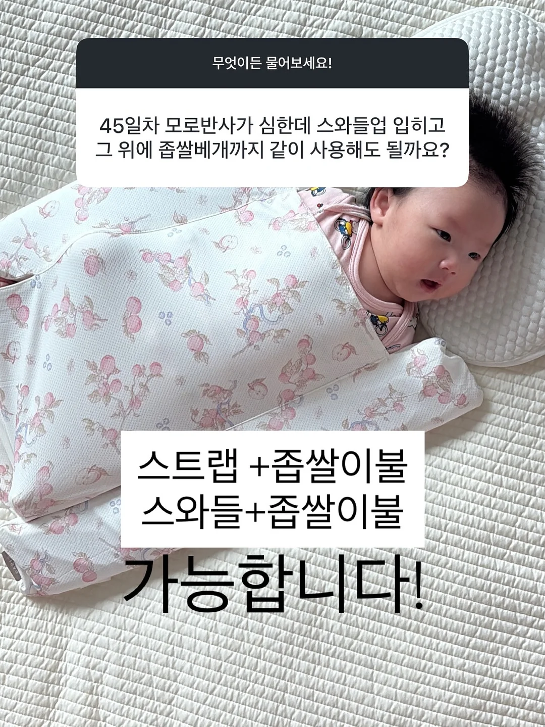 김성은 가방 17