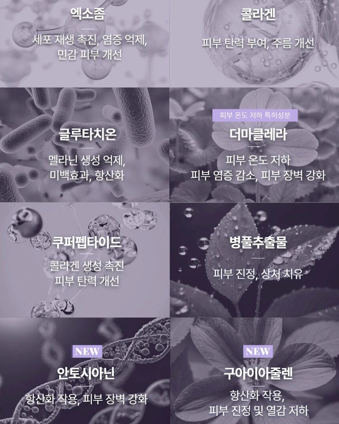 어반루이 위빙백 5