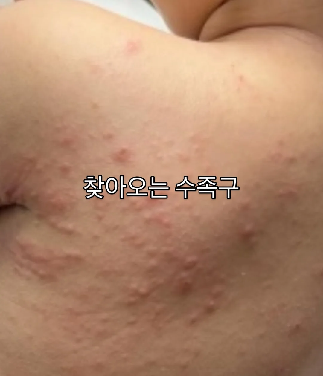 밀크티비니 2