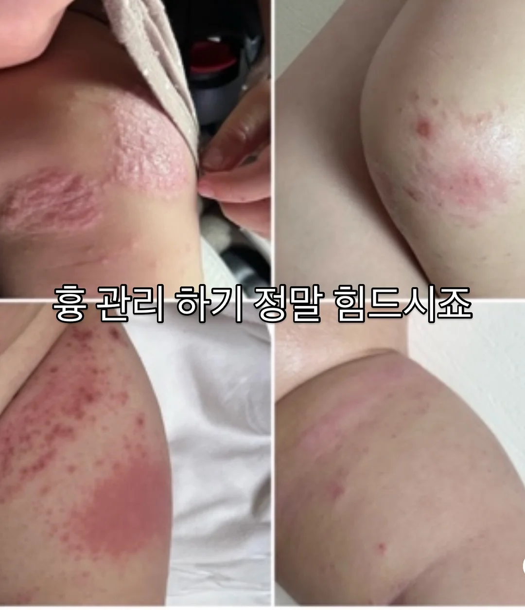 밀크티비니 4