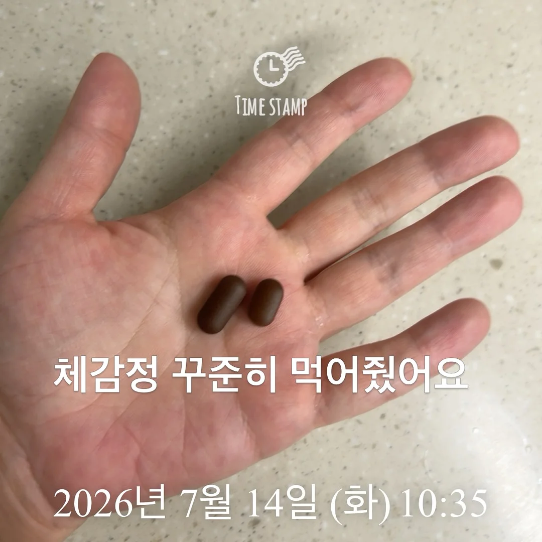 안감자 레시피북 (6월편) 11