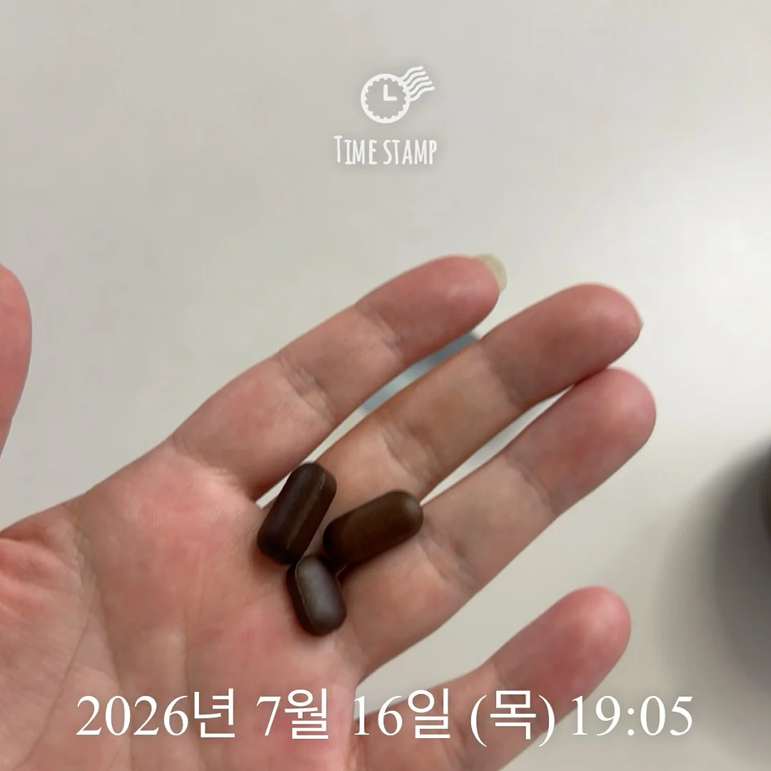 안감자 레시피북 (6월편) 13