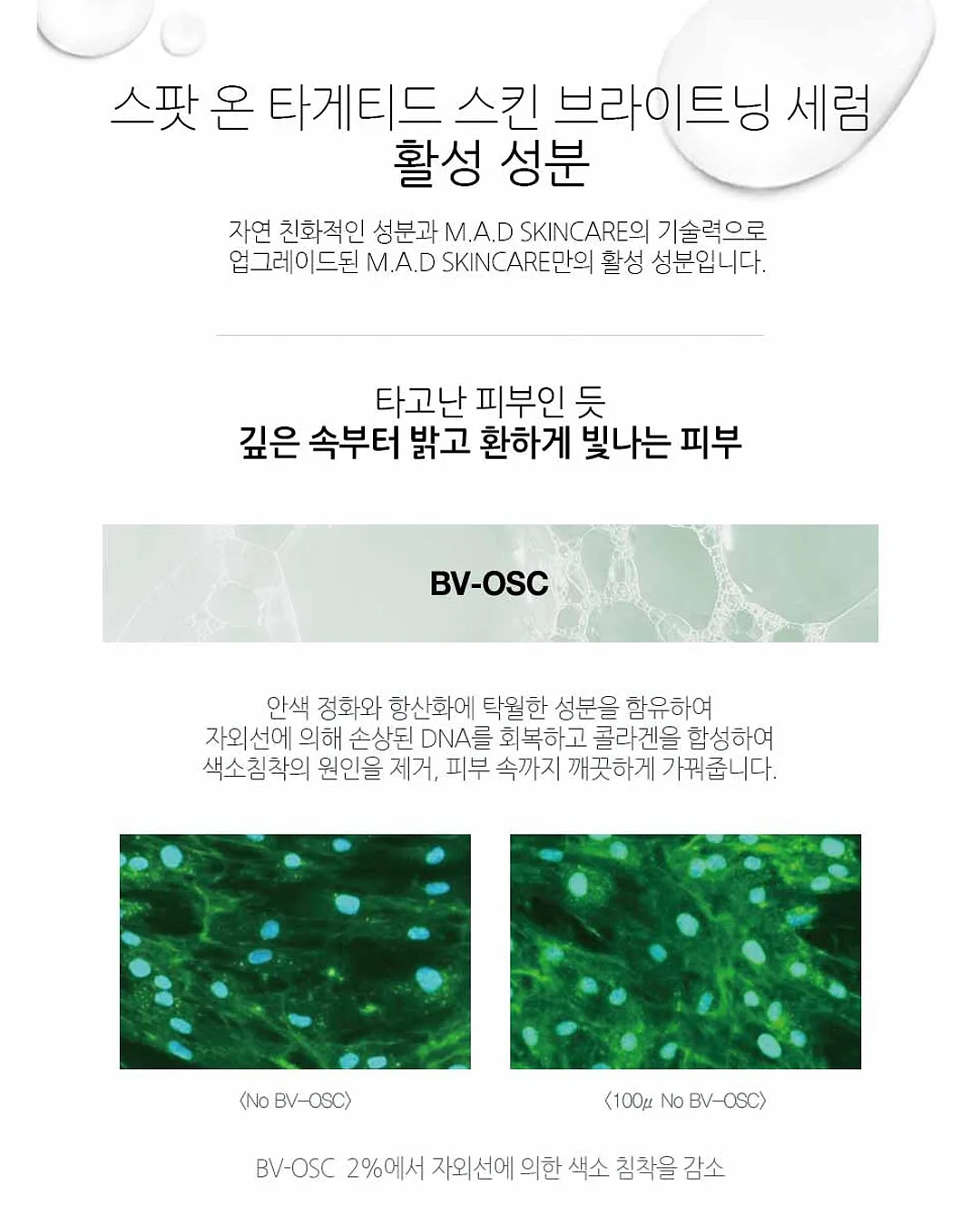 섀도우 브로우 4