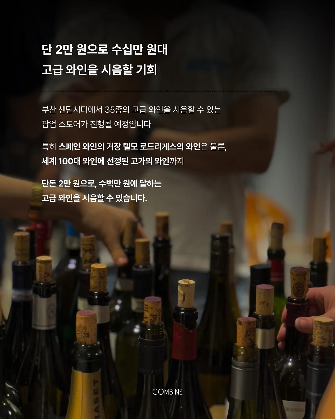 로즈데이 꽃다발 2