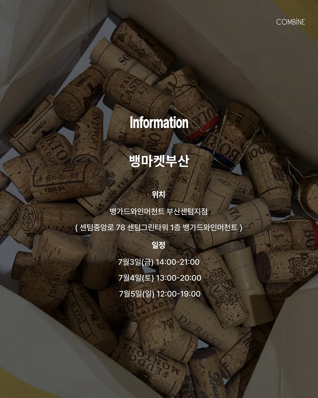 로즈데이 꽃다발 9
