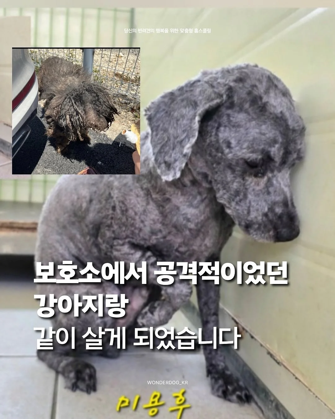 프로틴 1