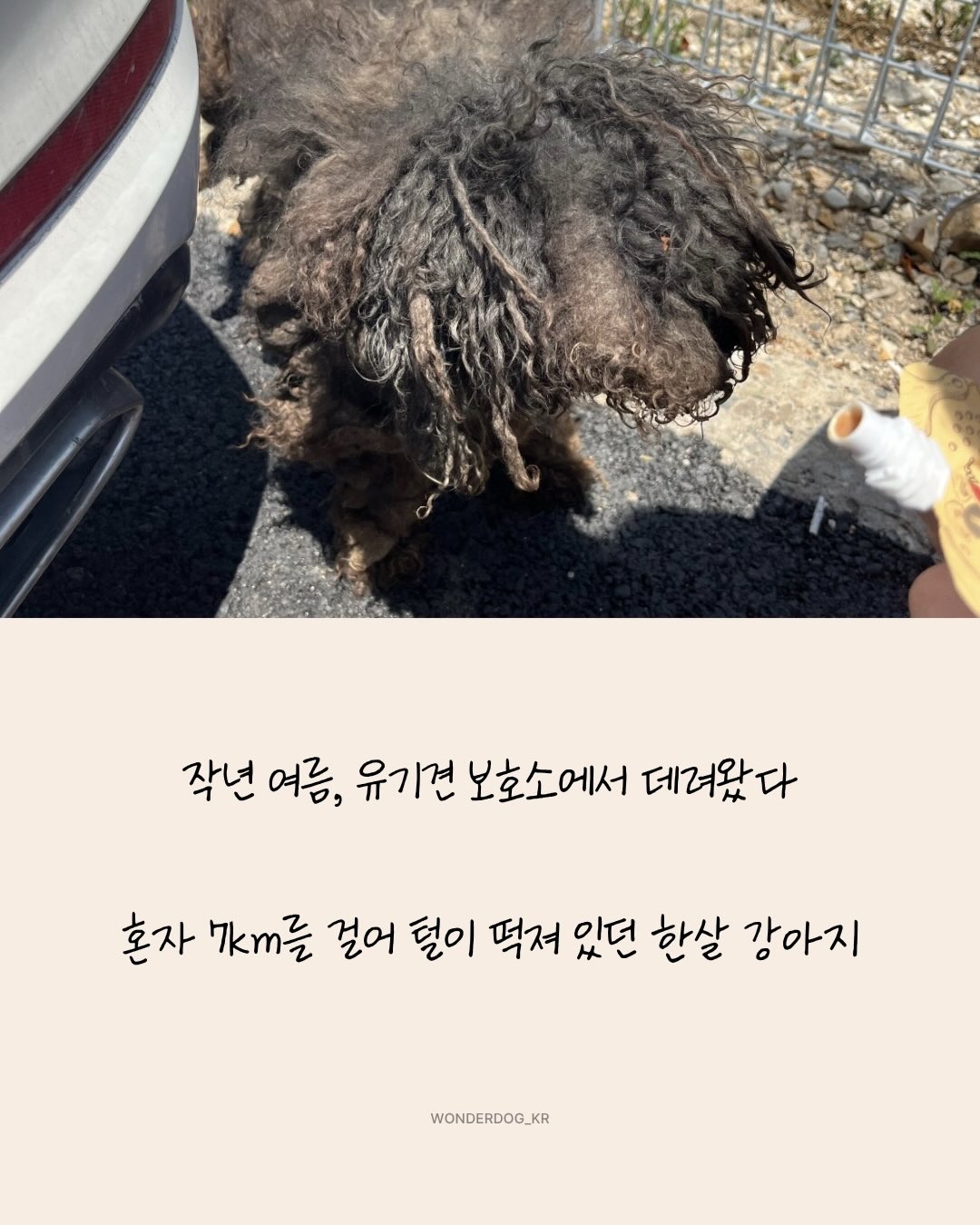 프로틴 2