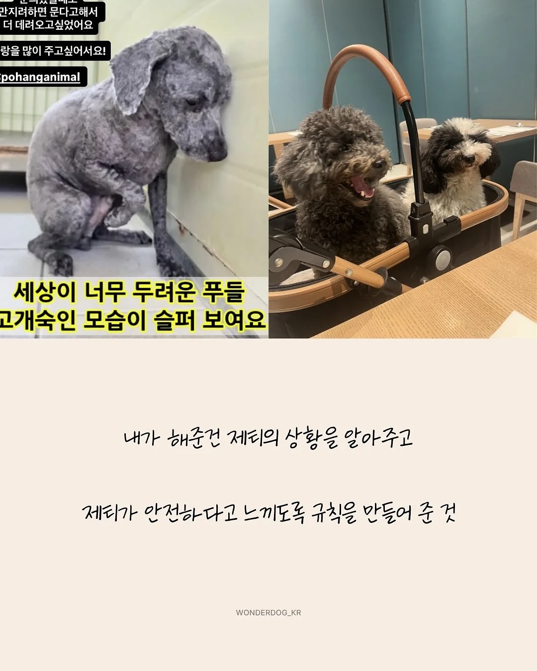 프로틴 11