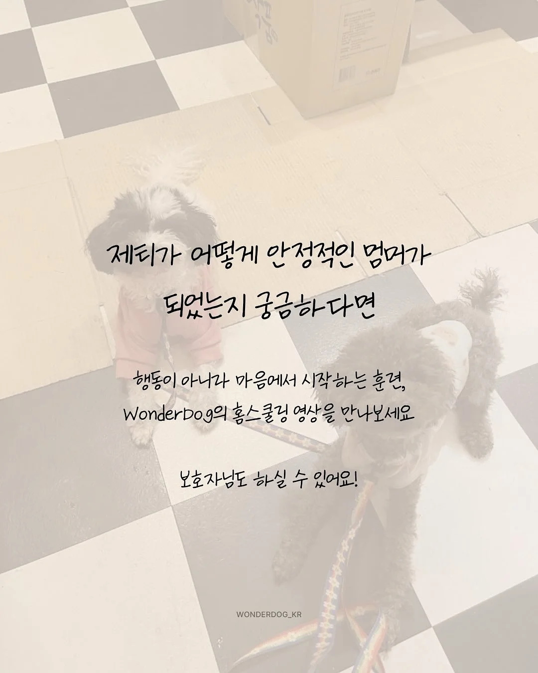 프로틴 12