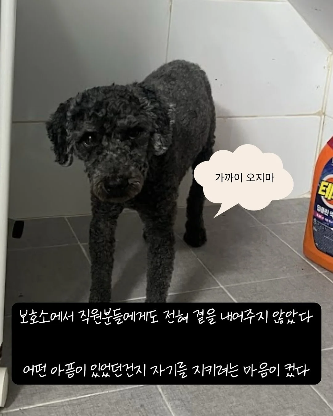 프로틴 3