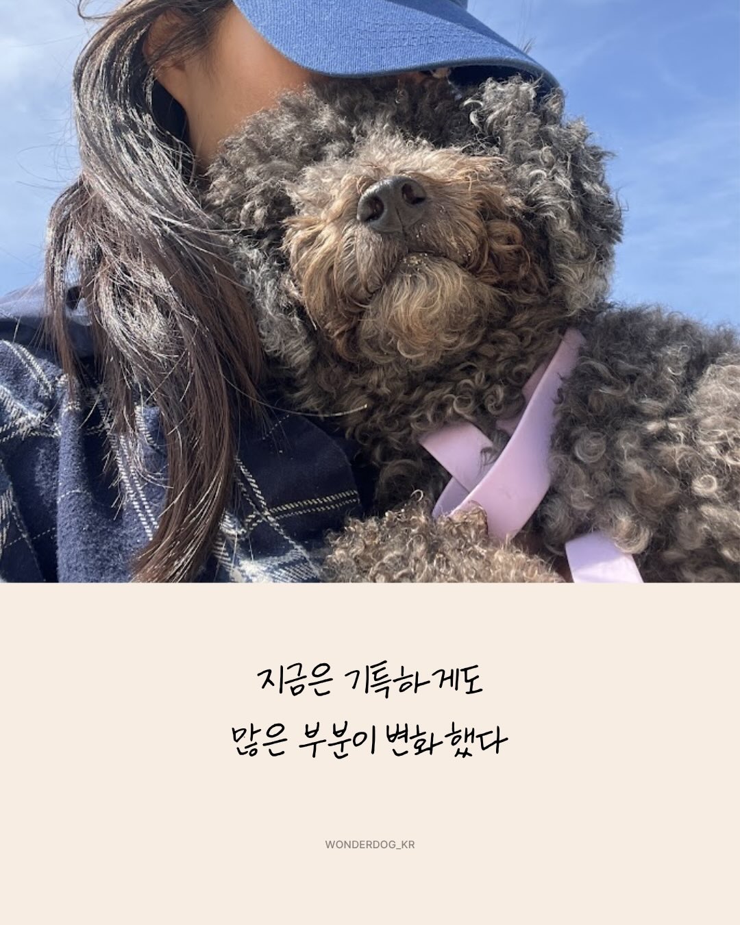 프로틴 9