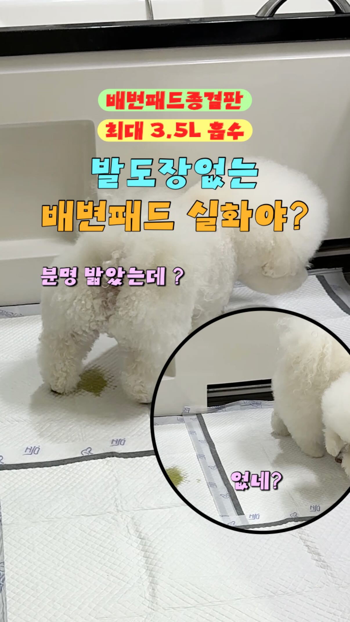 변신 가방
