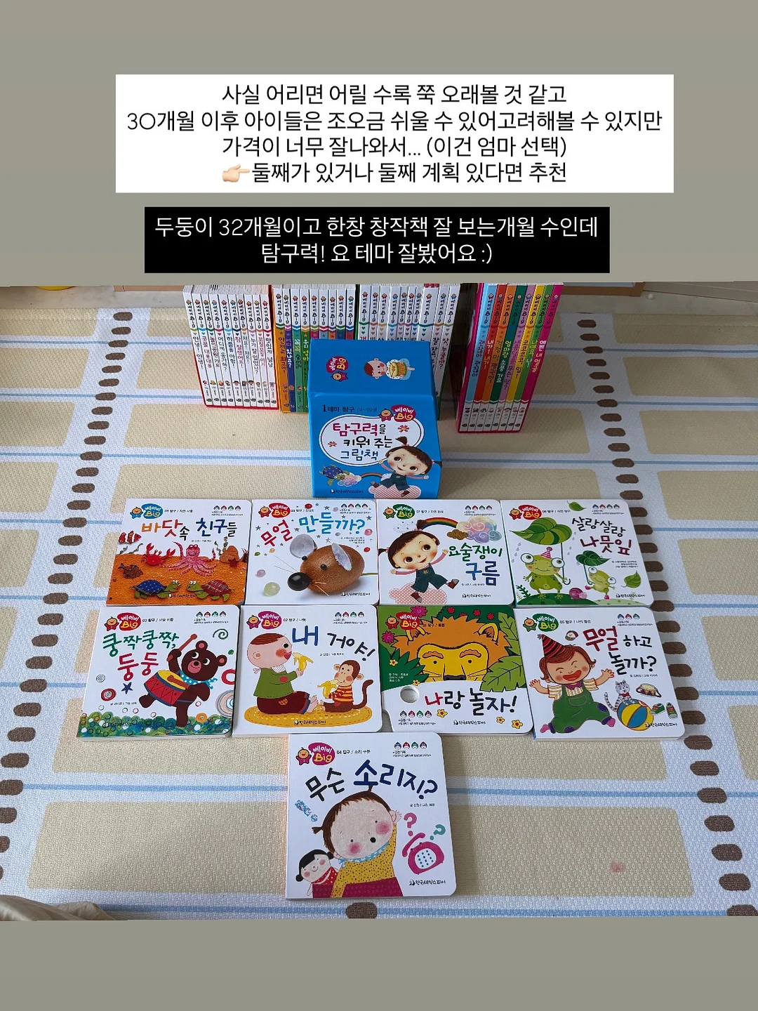 리틀앤머치 시그니처 파네토네 트리플베리 & 레몬화이트 10