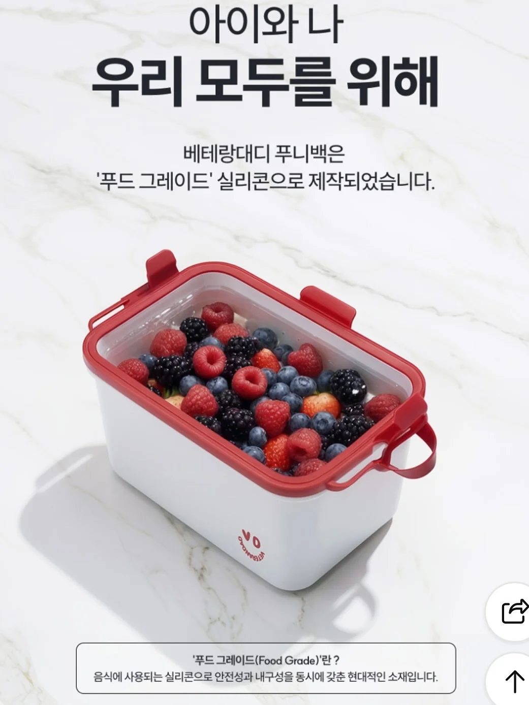 트리투바 수제 초콜릿 12