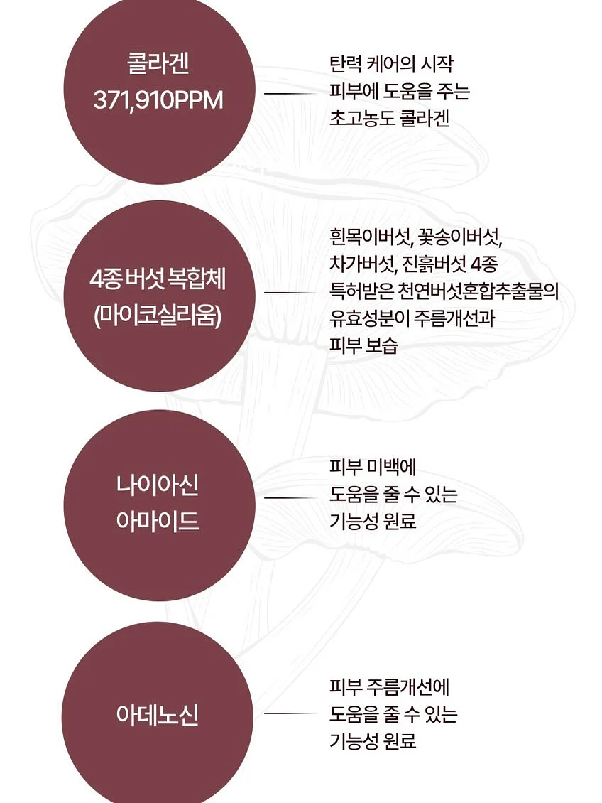 아크샌들 4