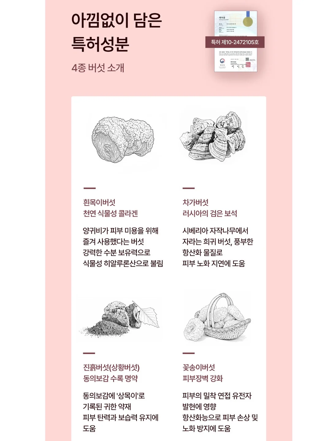 아크샌들 5