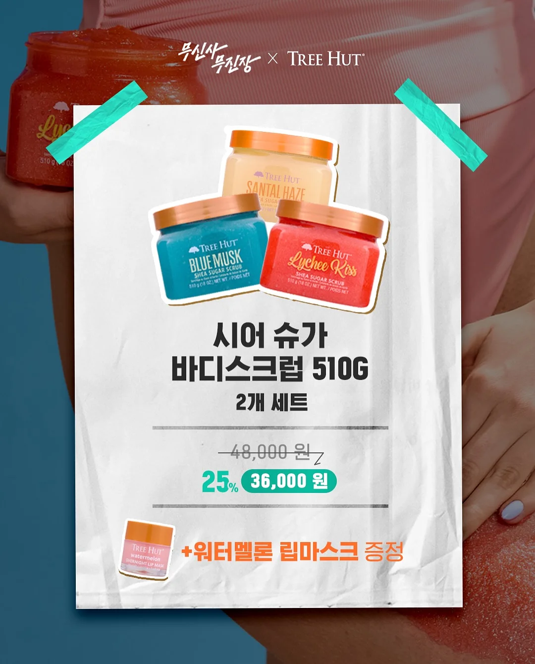 나뭇잎 노즈워크 장난감 2