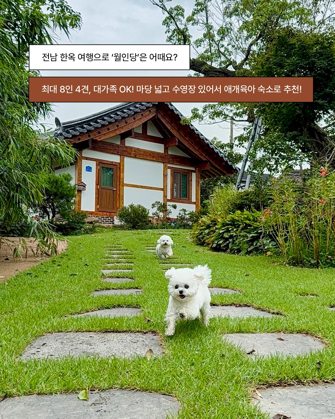 제인아츠 로로 쉘터 8