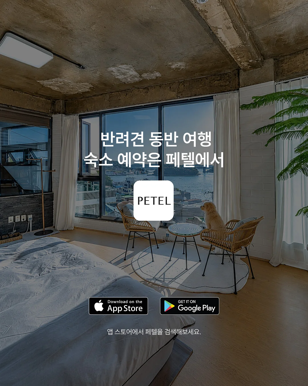 제인아츠 로로 쉘터 10