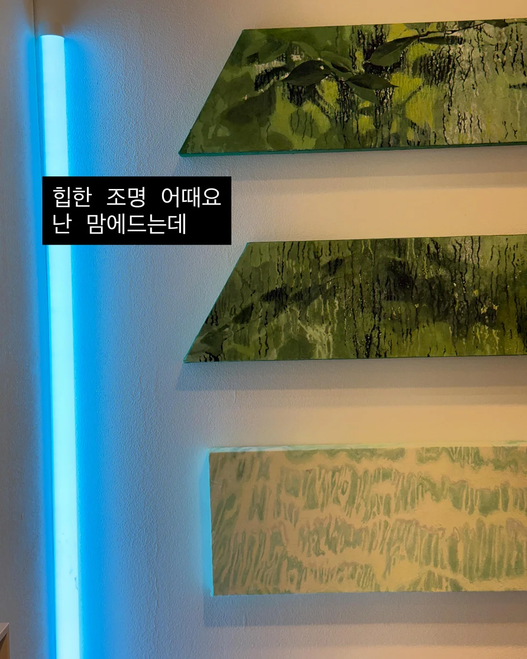 반영구 피부학 강의 19