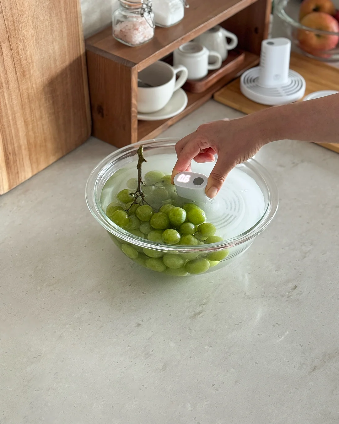 프레쉬가든, 진저플라워, 토마토리프 9