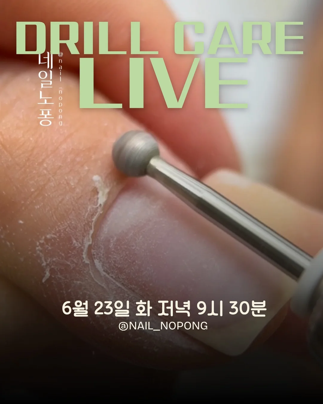 B F D 글라스 제품