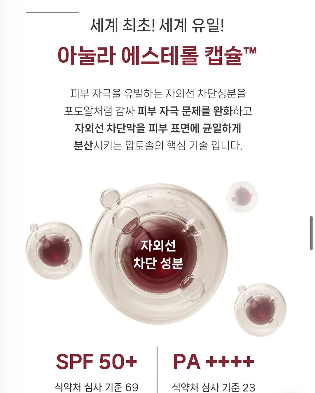 플로라 컵 클래스 4