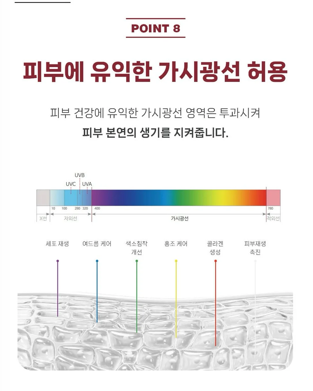 플로라 컵 클래스 9