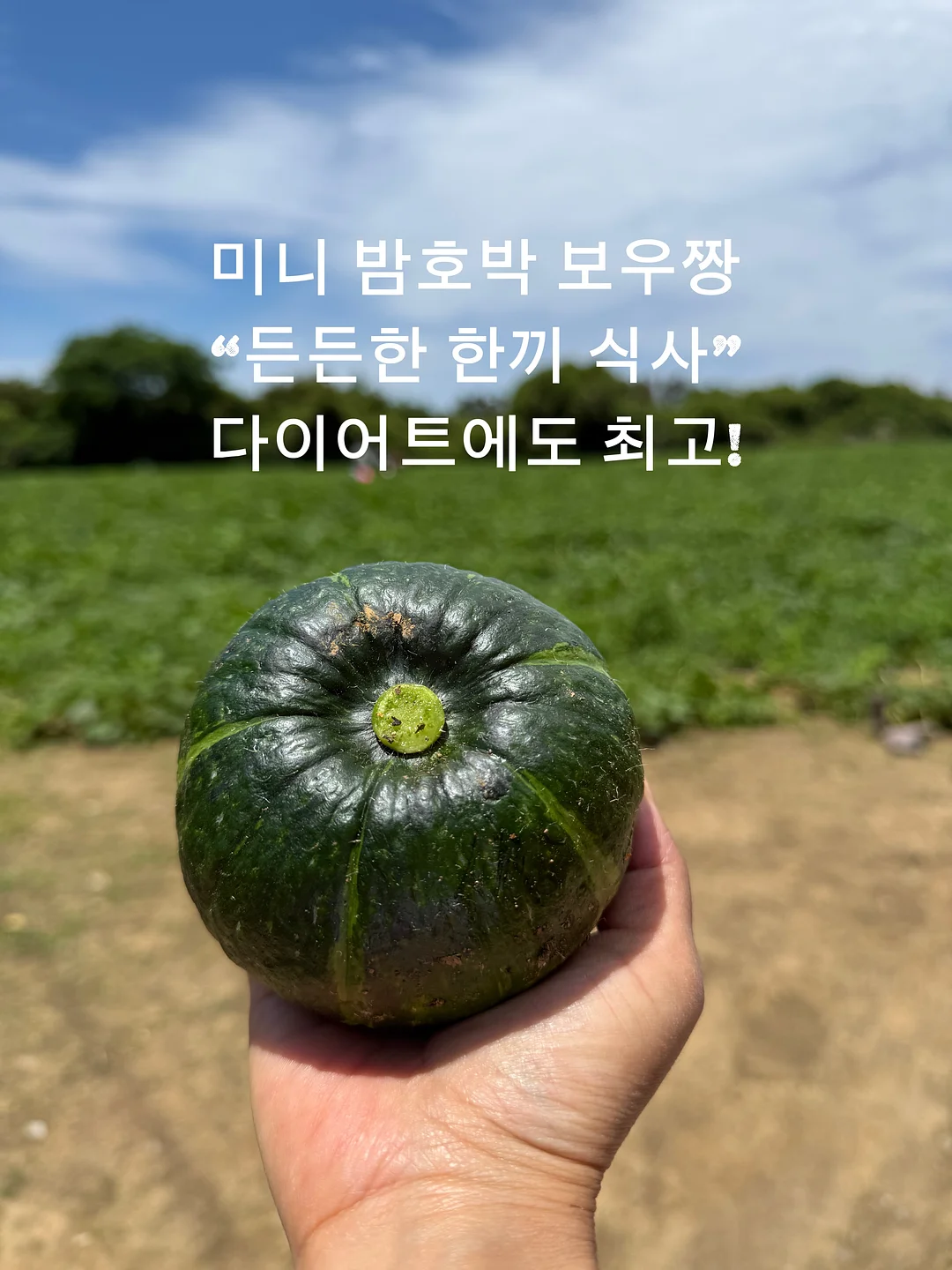 NUNEW 1집 한국 데뷔 싱글앨범 [LEAVE ME WITH YOUR LOVE] 5