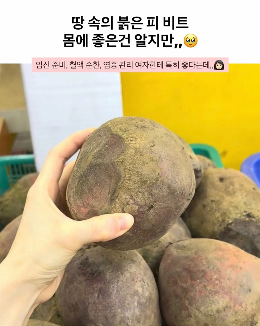 어버이날케이크(과일가득) 3