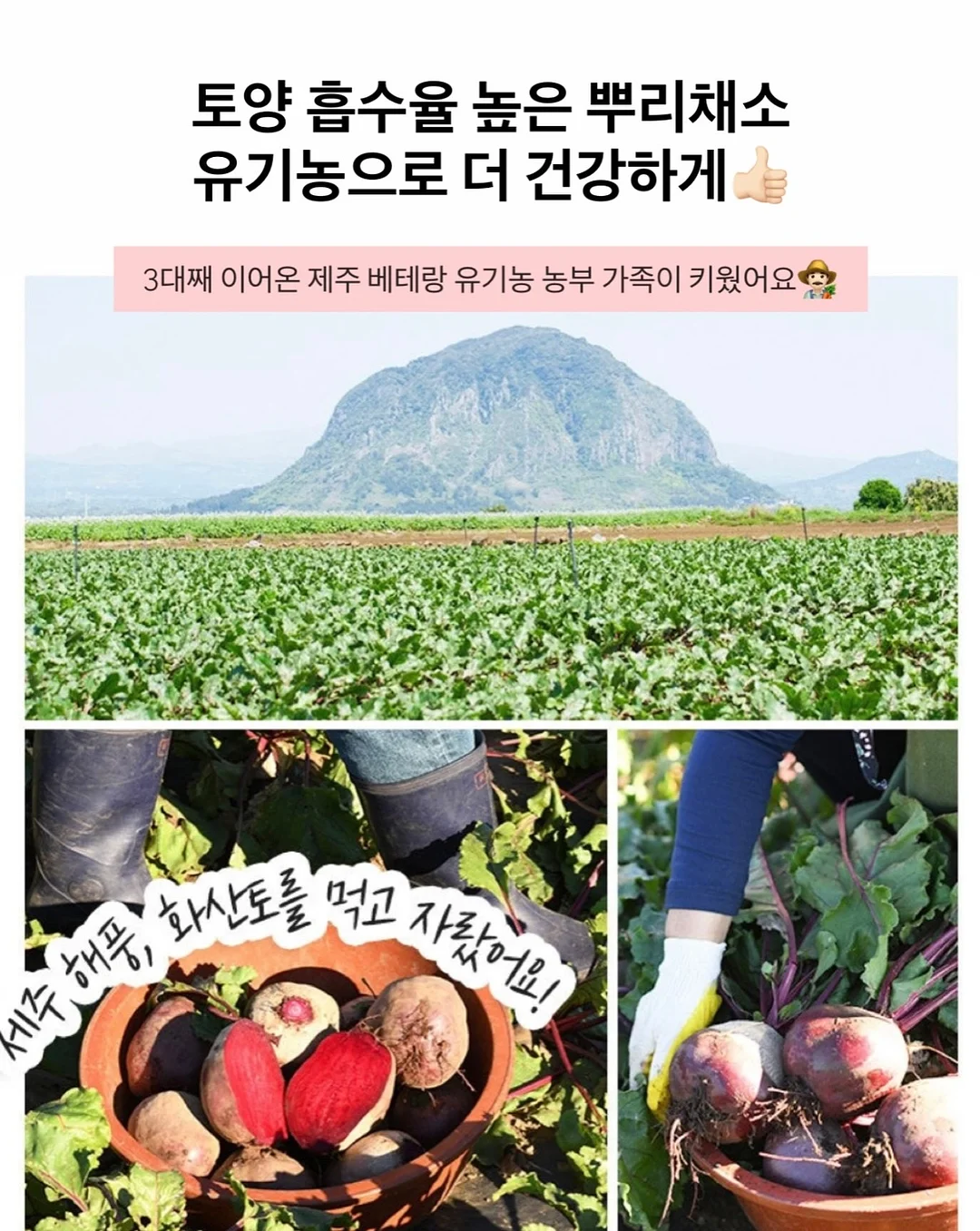 어버이날케이크(과일가득) 6
