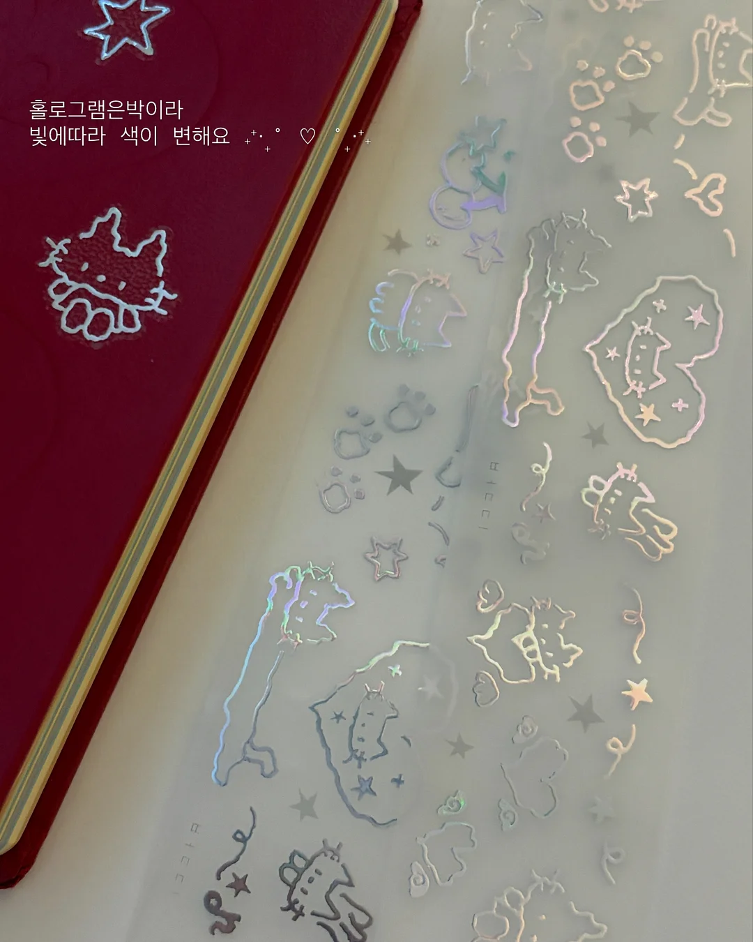 본투윈 레깅스 5