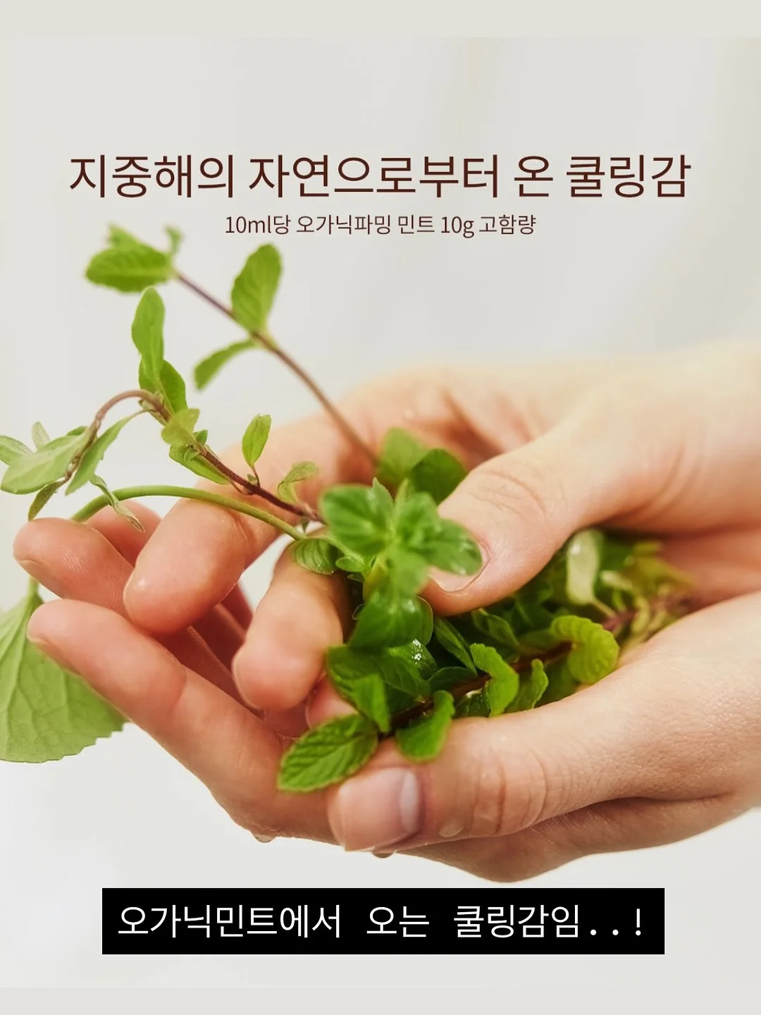 속눈썹 수강 3