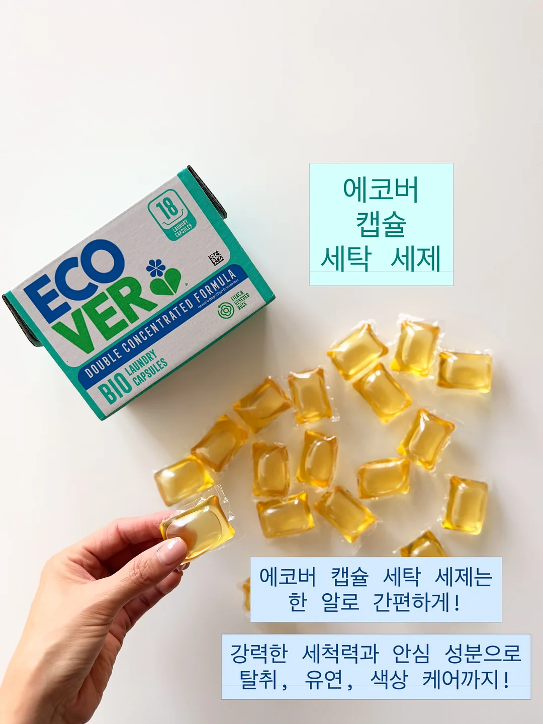 전설의 색연필 4