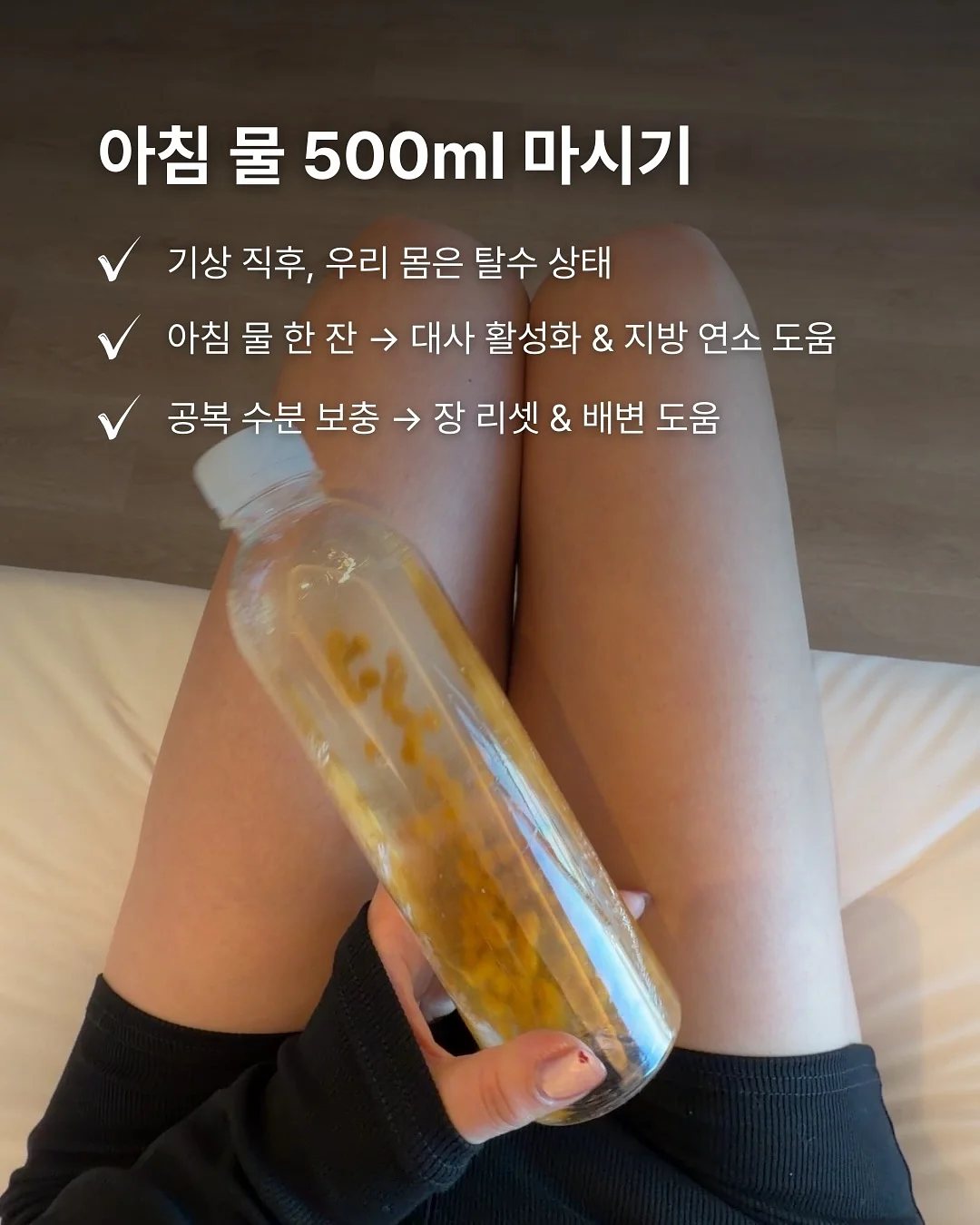 영의정 쑥오쟁이떡 2