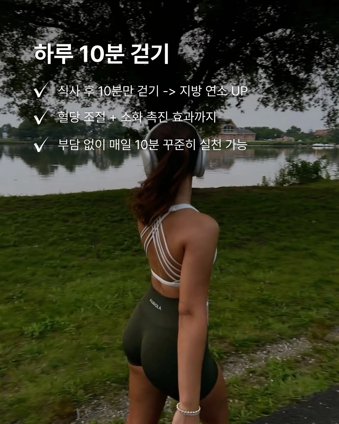 영의정 쑥오쟁이떡 5