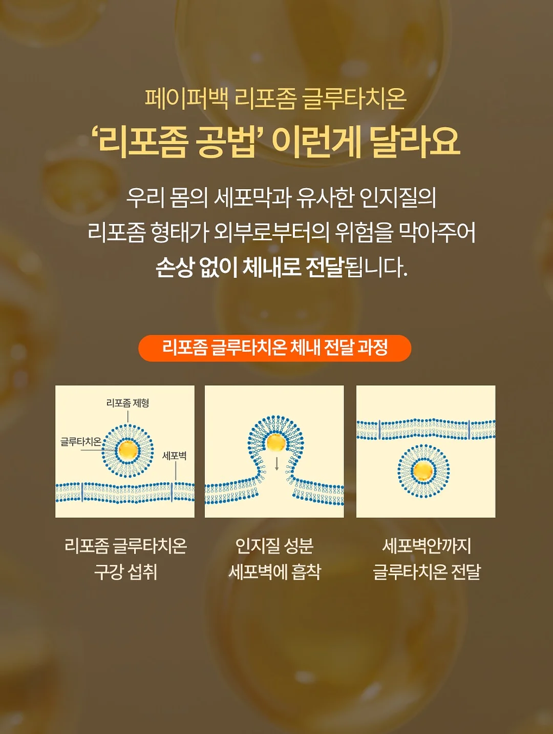 양봉장 꿀체험 3