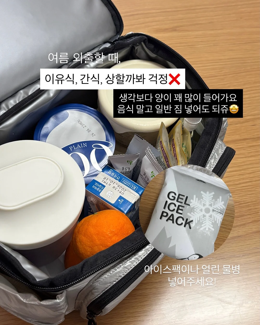 비비드 시드니 페리 루트 3