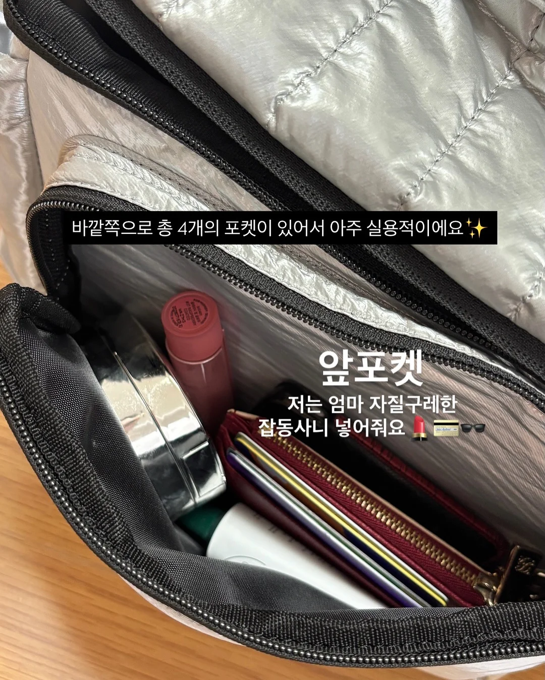 비비드 시드니 페리 루트 5