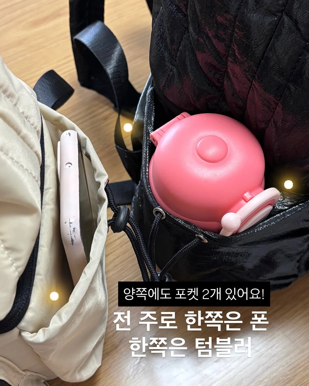 비비드 시드니 페리 루트 6