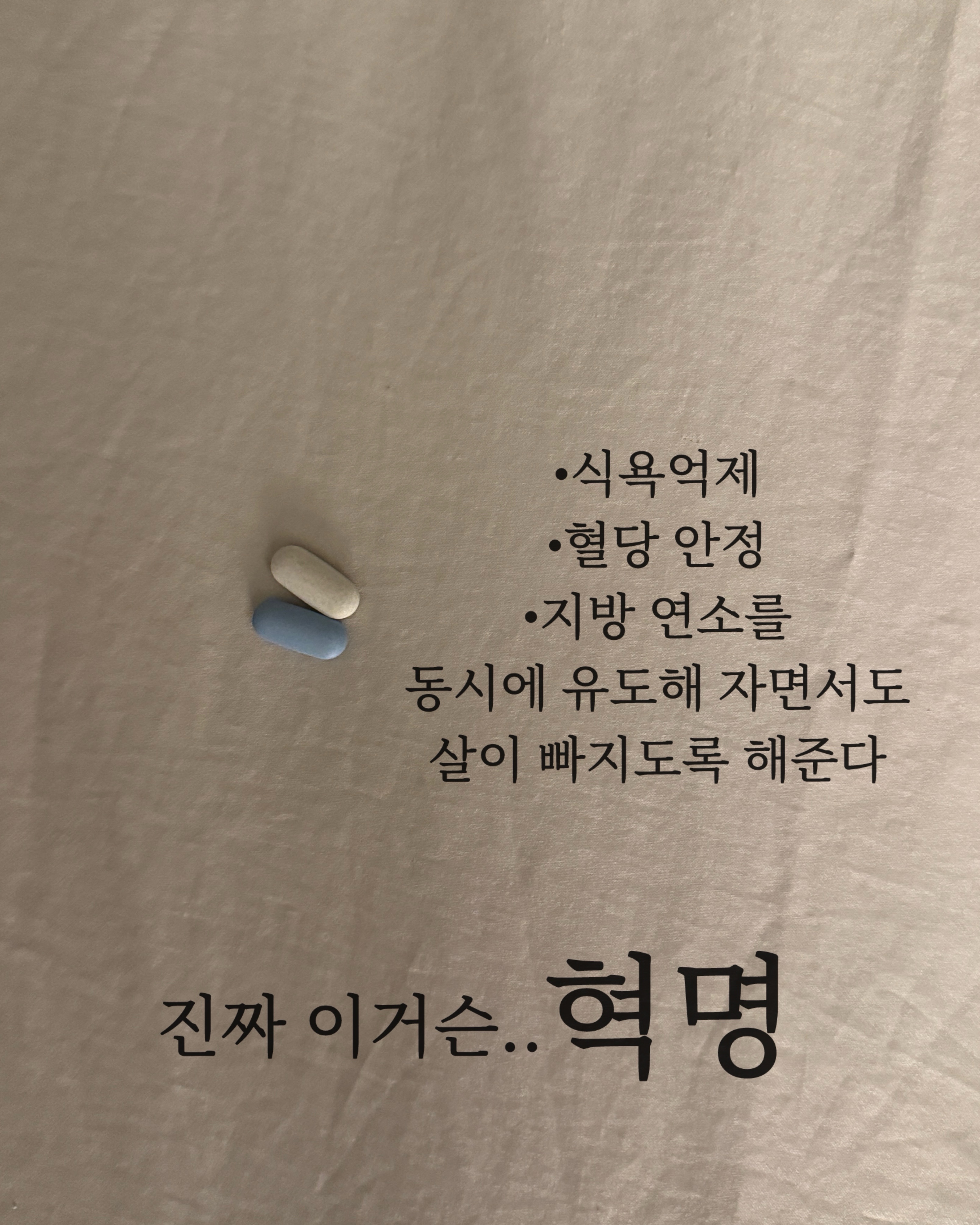 데코아르 멜로우 비비드 무선 글라스 초퍼 13