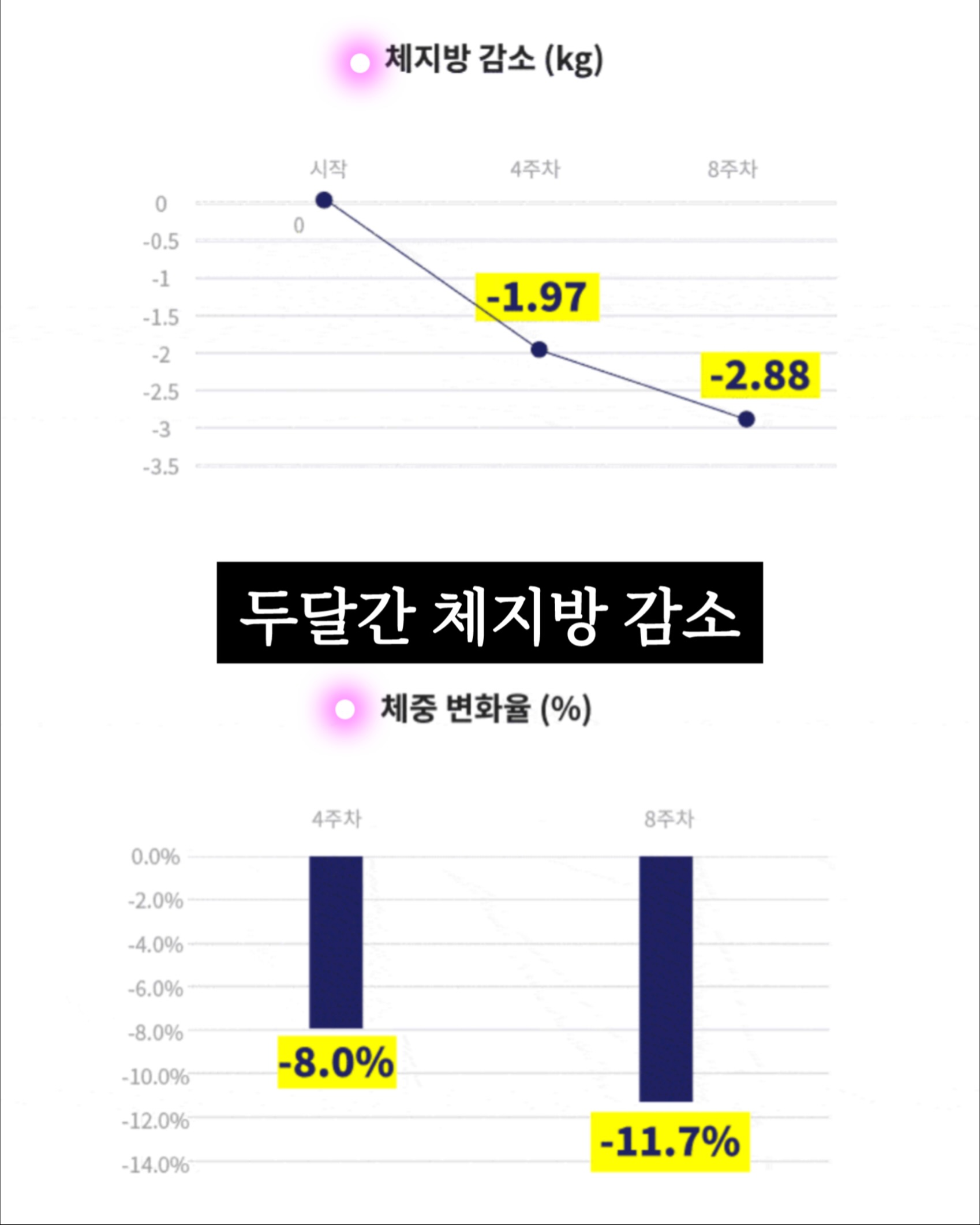 데코아르 멜로우 비비드 무선 글라스 초퍼 9