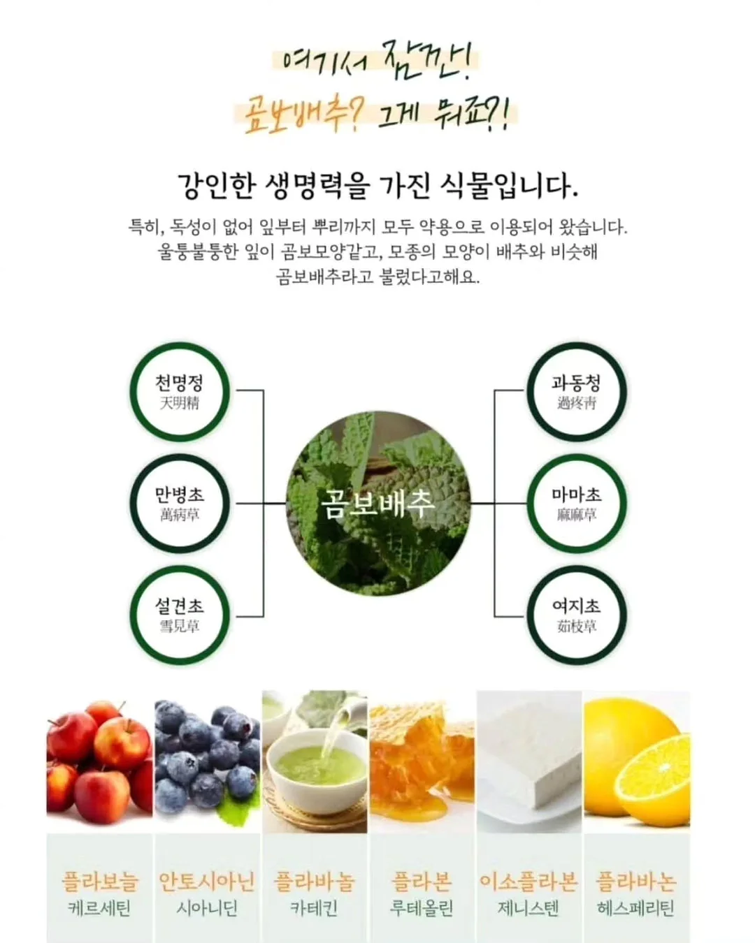 아이주도 이유식 유아식 매뉴얼 4
