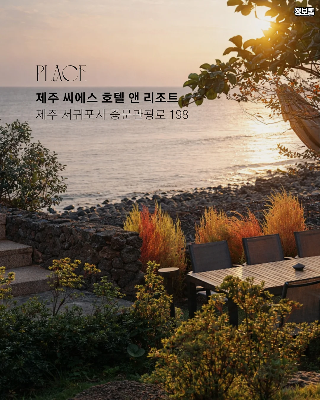 코미디를 찾아서 Looking for a Comedy 7