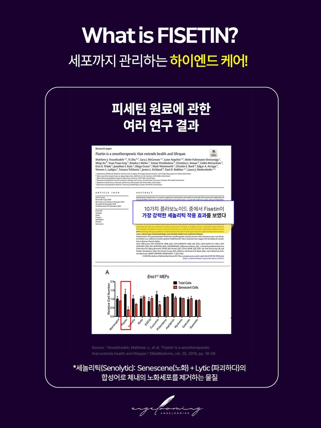 2단 떡케이크 5