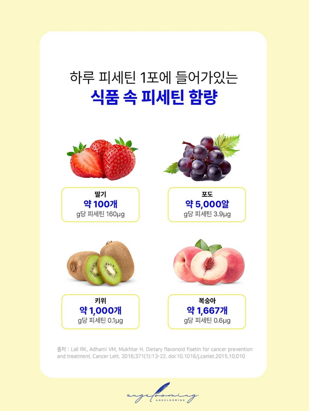 2단 떡케이크 6